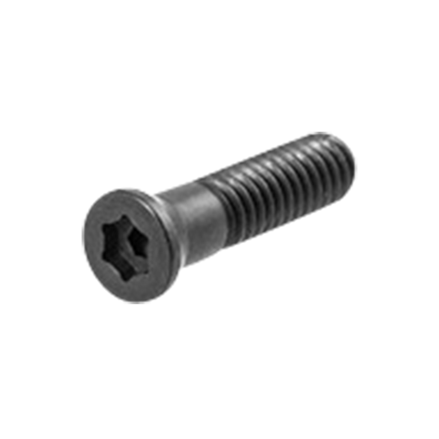Beretta Screw Torx 4x10 For 690